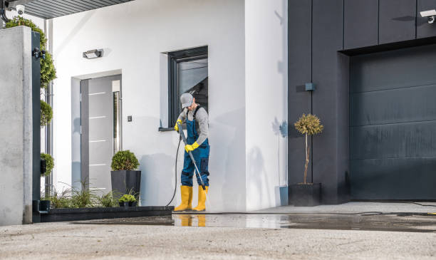Best Soft Washing  in Brookdale, NJ